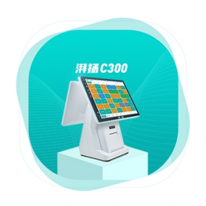 湃揚C300系列